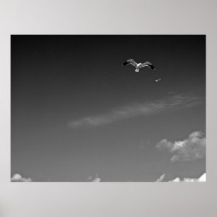 Pôster Liberdade em BW