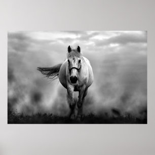 Poster Liberdade para Cavalo Negro Correndo