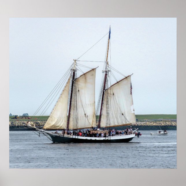 Poster Liberty Clipper (Frente)