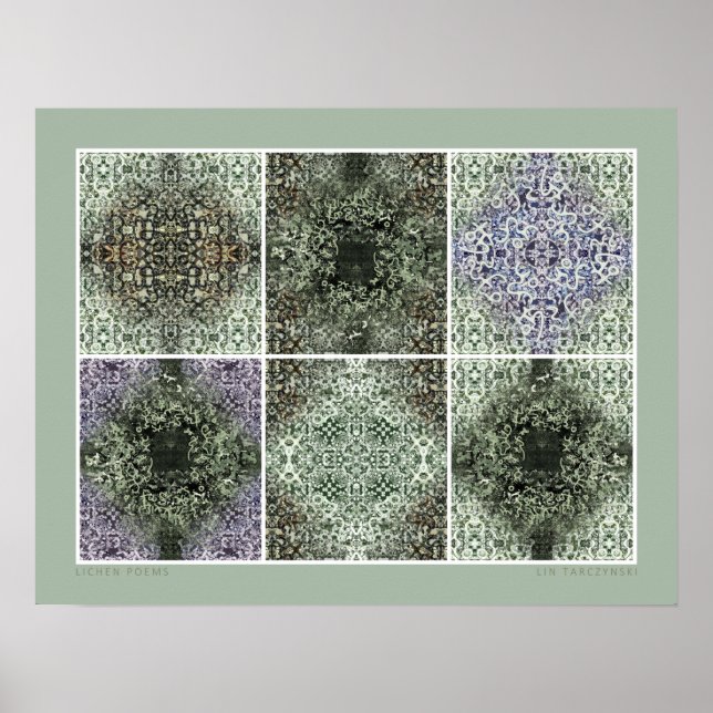 Poster Lichen Poems (Frente)