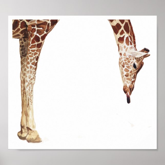 Poster "Licker" Girafa Willife Animal Watercolor (Frente)