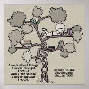 Pôster Lições aprendidas