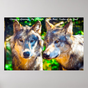 Poster Líder cartões de natal do Pacote