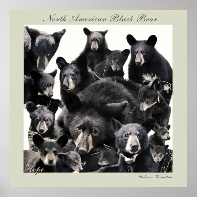 Pôster LIfe da Esperança (Frente)