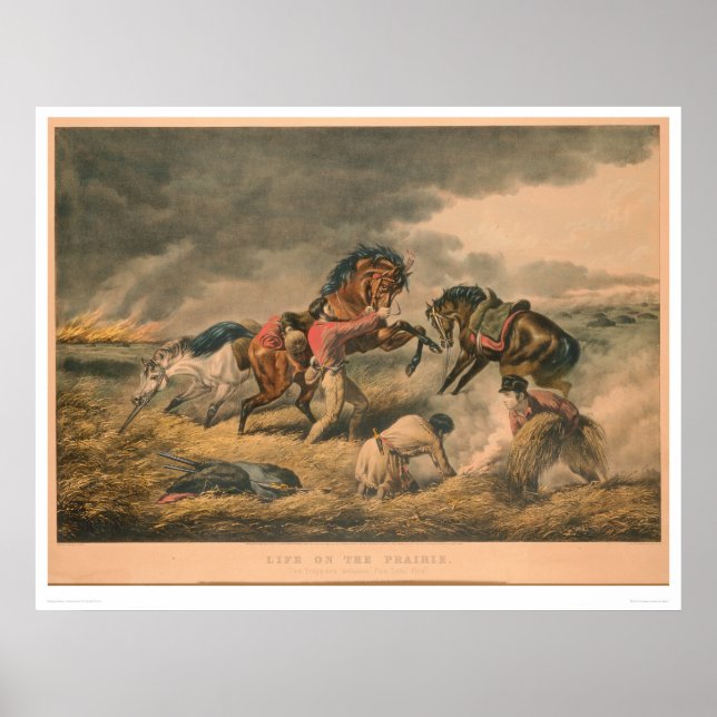 Poster Life on Prairie: Defesa da Armadilha (0879A) (Frente)