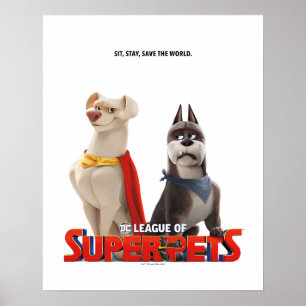 Poster Liga DC de Arte Teatral Super Pets