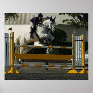 Pôster Ligação em ponte