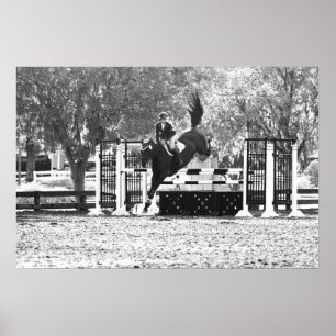 Pôster Ligação em ponte