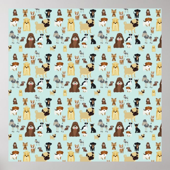 Poster light blue background dogs pattern. (Frente)