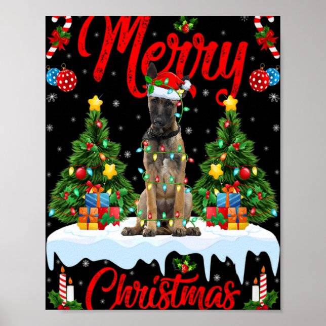 Poster Lights Xmas Tree Santa Belgian Malinois Dog Christ (Frente)