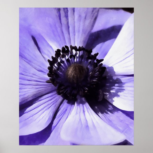 Poster Lilac Blue Anemone Artista Flor (Frente)