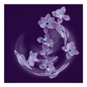 Pôster Lilac em círculo