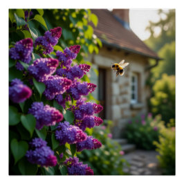 Pôster Lilac Flower