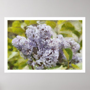 Pôster Lilac roxo