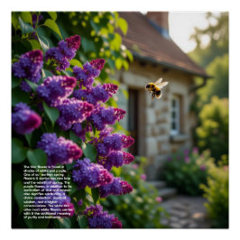 Pôster Lilac Symbolism