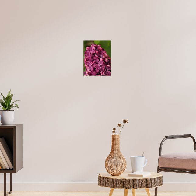 Poster Lilás comum (Sala de Estar 3)