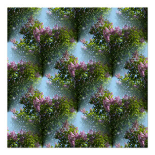 Pôster Lilases adoráveis...