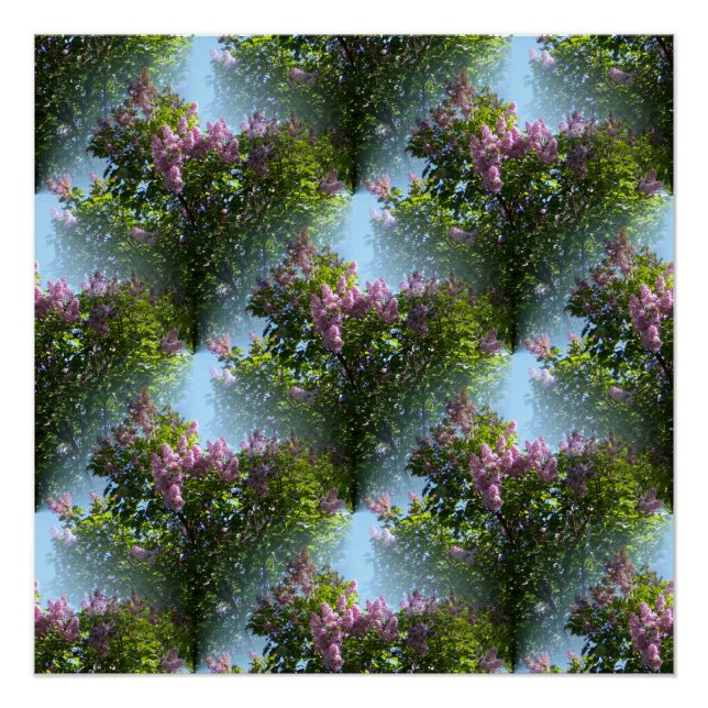 Pôster Lilases adoráveis... (Frente)