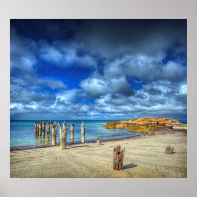 Poster Lillies Beach | Wybalena, Ilha Flinders (Frente)