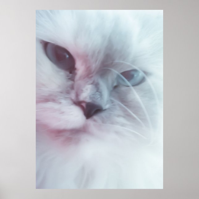 Poster Lilly (Frente)