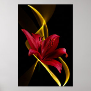 Pôster Lily and Ribbon Print