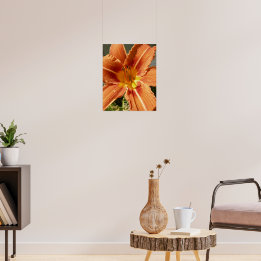 Pôster Lily do dia