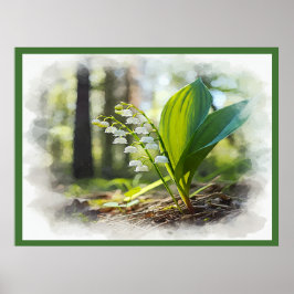 Poster Lily do vale National Flower Finlândia |