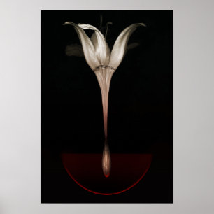 Poster Lily hemorrágica 2013