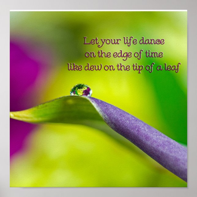 Pôster Lily Leaf (Frente)