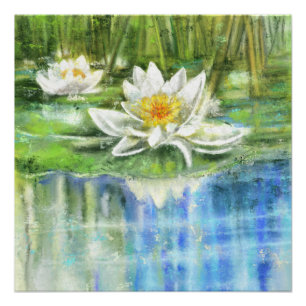 Pôster Lily Nymphaea alba, de água branca - Pintura origi