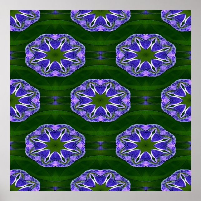 Poster Lily pad stars.... (Frente)