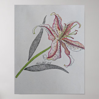 Poster Lily Tiger, Lily Selvagem, Flor Lily, Arte Laranja