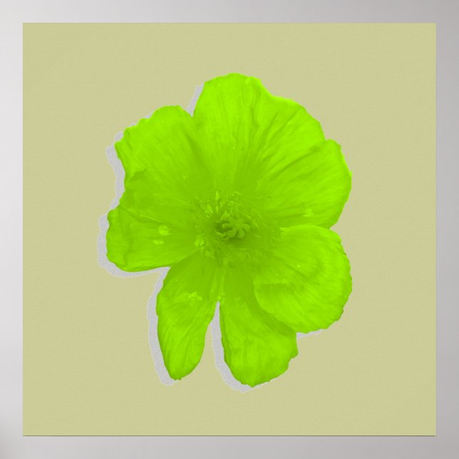 Poster Limão/Flor PopArt (Frente)