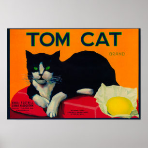 Pôster Limão LabelOrosi do gato de Tom, CA