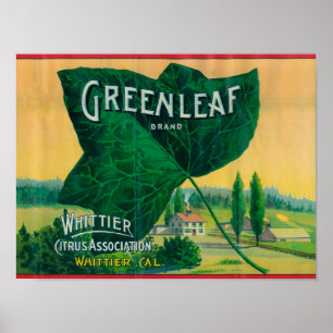 Poster Limão LabelWhittier de Greenleaf, CA