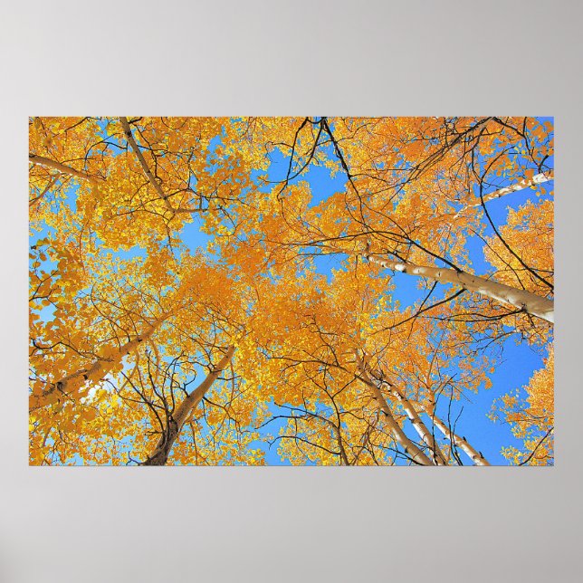 Poster Limite máximo Aspen (Frente)