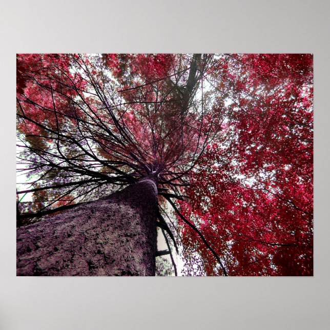 Pôster Limite superior (Frente)