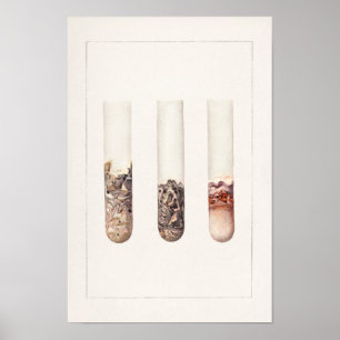 Poster Limões (Citrus Aurantiifolia) Pintura Por Aquarel