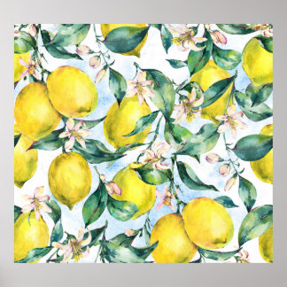 Poster Limões de aquarelas, ramos de citrinos frescos.