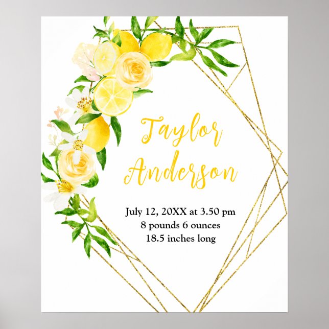 Poster Limões e Foliage Baby Birds Stats (Frente)