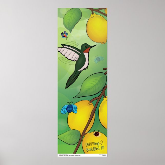 Poster - Limonada (Frente)