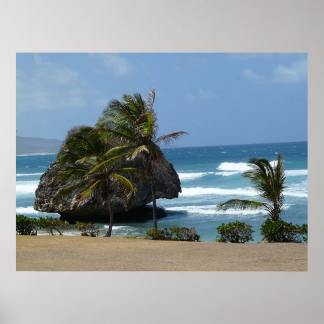 Pôster Limpeza (Frente)