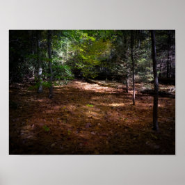 Poster Limpeza em uma Floresta Escura