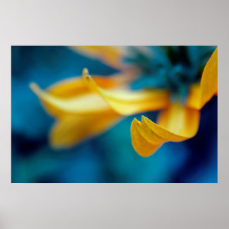 Poster Linda Abstrato Amarelo-Amarelo-Coneflower-Petal