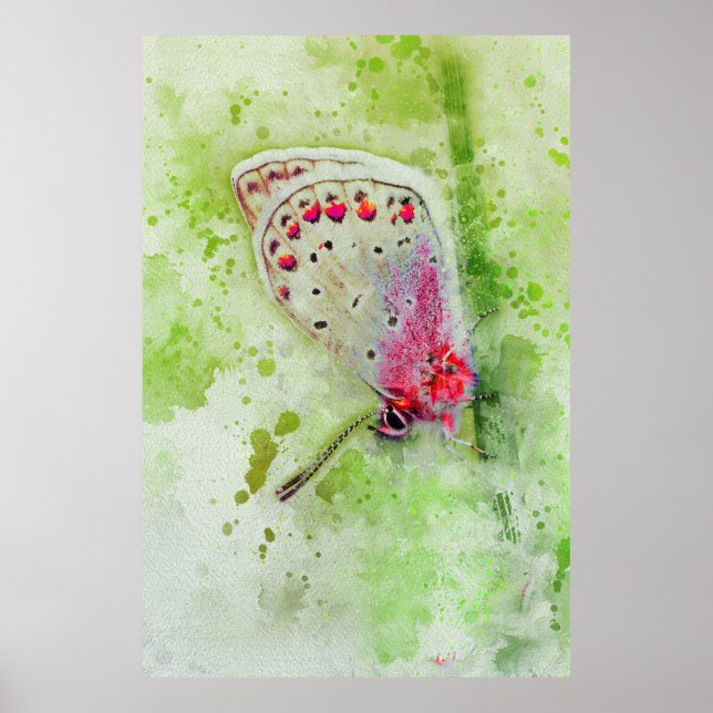 Poster linda borboleta branca sobre uma pintura estaminal (Frente)