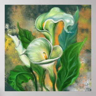 Poster Linda Calla Lily Flower - Desenho de Arte Migrado