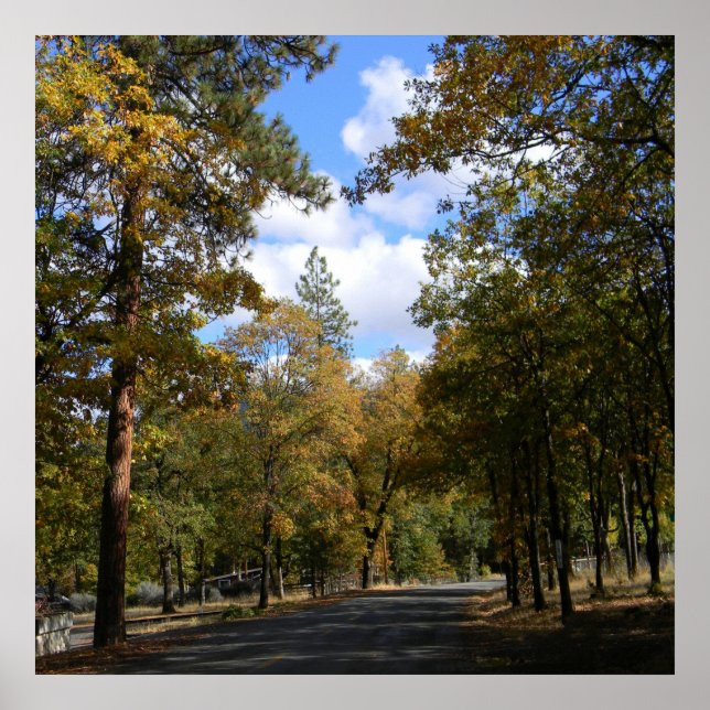 Poster Linda cidade. (Frente)