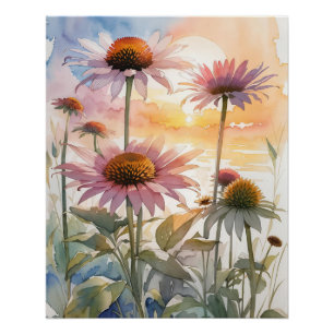 Pôster Linda Coneflower