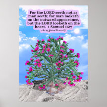 Linda Escritura de Cholla Cactus 1 Samuel 16:7