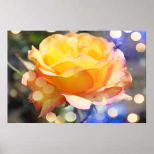 Pôster Linda flor de rosa amarela. Fotografia floral